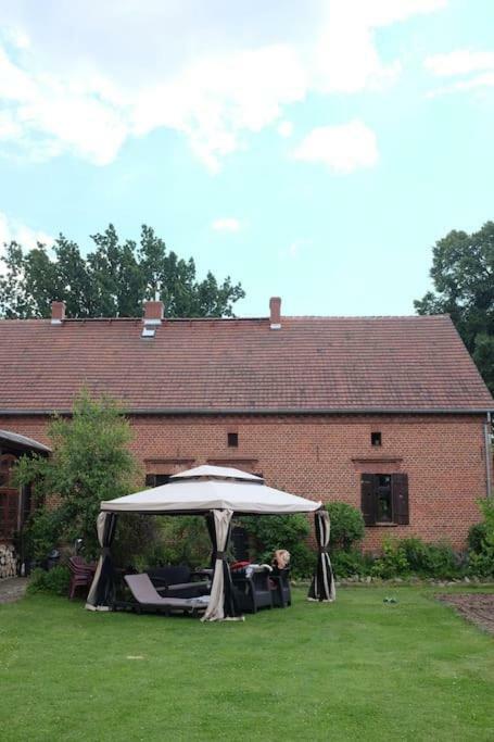 Вілла Cozy House In The Countryside Miedzylesie  Екстер'єр фото